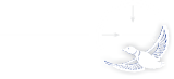 هانت ایران